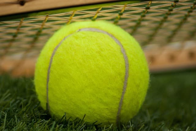 Pressureless vs Pressurized Tennis Balls