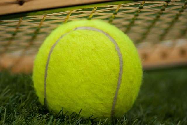 Tennis Ball Fuzzy